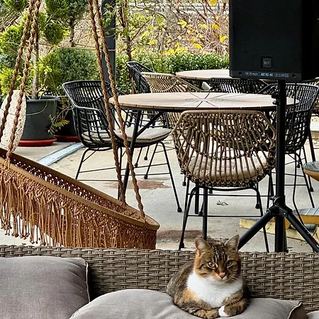 Drive Point Ξενοδοχείο Asparukhovo (Varna)