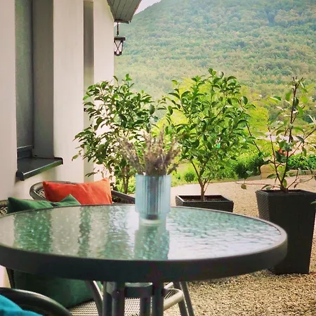 Drive Point 3* Asparukhovo (Varna)