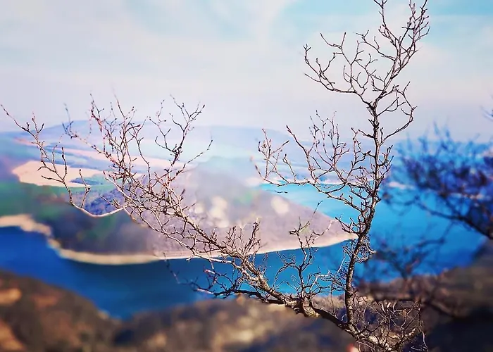 فندق Drive Point