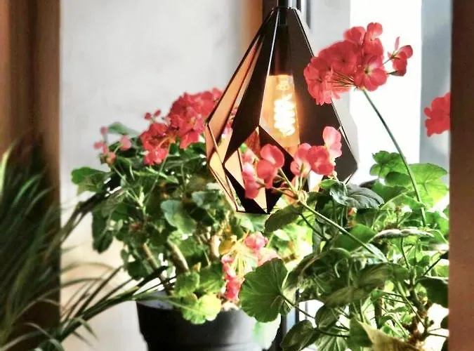 Drive Point 3* Asparukhovo (Varna)