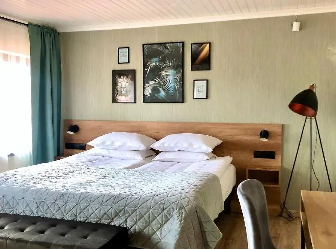 فندق Drive Point