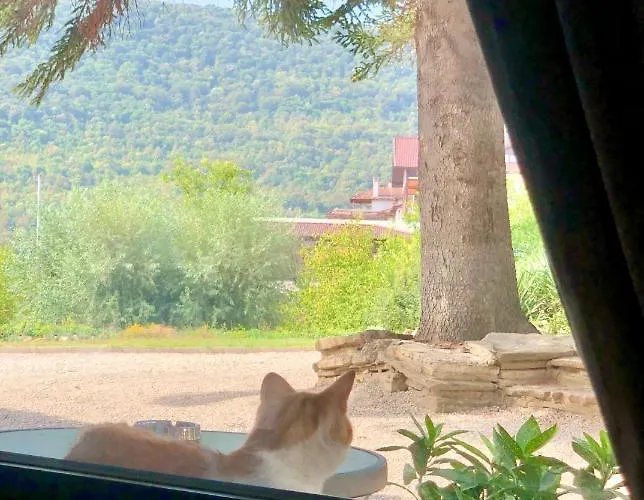 فندق Drive Point 3*