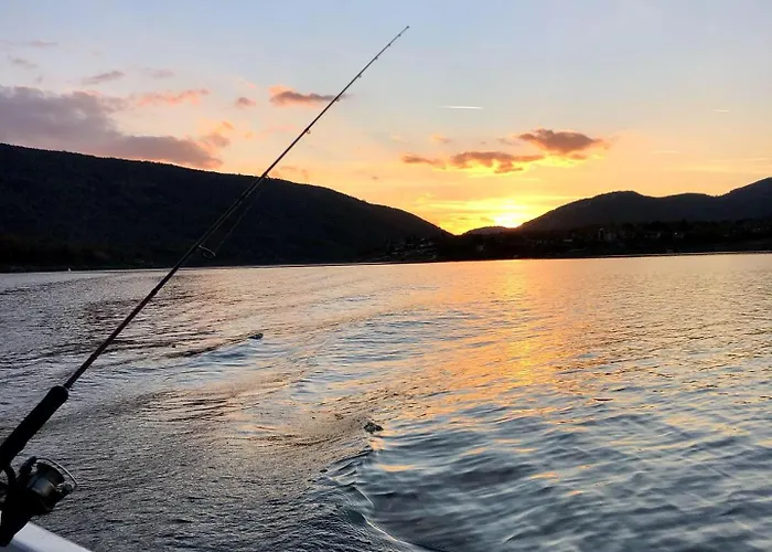 מלון Drive Point 3*