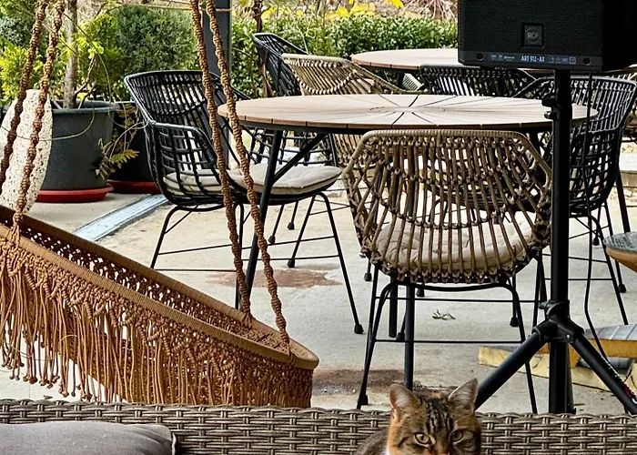 Drive Point מלון Asparukhovo (Varna)